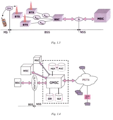 Fig. 1.4   