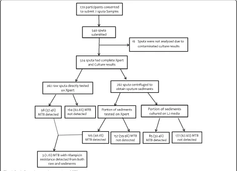 Fig. 1 Study Procedures and proportion of PTB