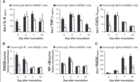 Fig. 3 Effects of anti-high mobility group box 1 (vs control by Mannin the lungs of H1N1-inoculated mice