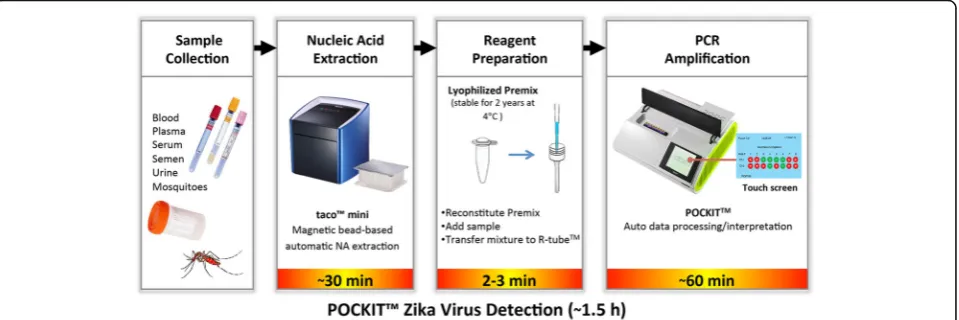 Fig. 1 POCKITapproximately 30 min and, subsequently, the lyophilized RT-iiPCR reaction is reconstituted and nucleic acids are added and tested