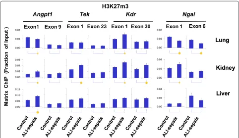 Fig. 7 Changes in histone H3 lysine 27 tri-methylation (H3K27m3) in experimental acute lung injury-induced sepsis (ALI-sepsis)