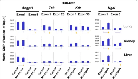 Fig. 5 Changes in histone H3 lysine 4 di-methylation (H3K4m2) in experimental acute lung injury-induced sepsis (ALI-sepsis)
