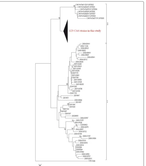Figure 2 Phylogenetic analysis of Coxsackievirus A6 strains based on the partial VP1 gene sequence (nucleotide position 196-447)