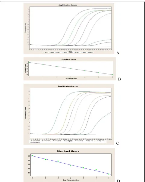 Figure 1 Analytical sensitivity of the duplex real time RT-PCR assay based on the 10-fold dilution series of the in vitro-transcribedRNA