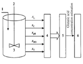 Figure 2.  Modeling of glutamic acid concentration  