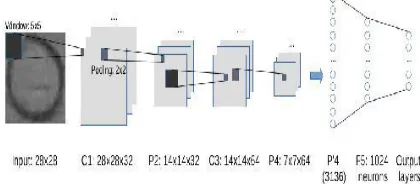 Fig. 8. Given an input gray scale image of 28x28 pixels, the first convolutional layer (C1) is computed by using a sliding window of 5x5 pixels