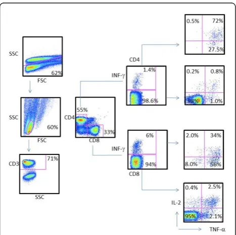 Figure 5 Strong polyfunctional CD4+ and CD8+ T cell