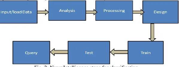 Fig. 2: NeuroIntelligence steps for classification 