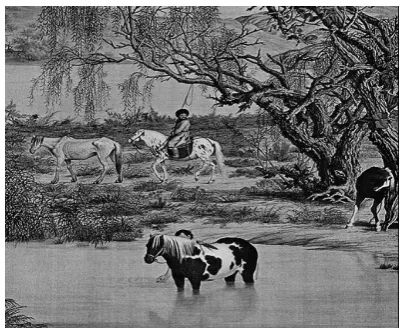 Figure 2.  The cover image  