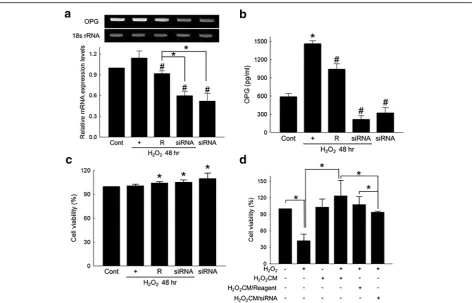 Fig. 3 Downregulation of OPG offset protective effect of ASC conditioned media. (a) OPG-siRNA-mediated downregulation of OPG in H2O2-treatedASCs