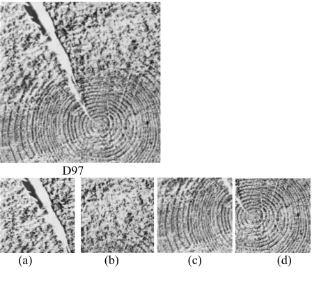 Fig.5 Some texture images (D97, D43) in the Brodatz texture database and result of are the sub-texture-images producing by divide the same texture into 4 ((a), (b), (c), (d)) sub-images