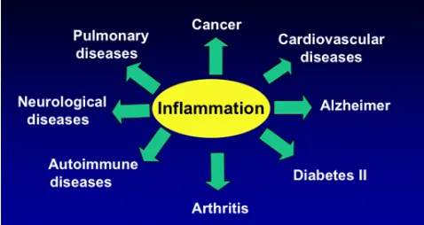 Fig. 5: The Wide use of Inflammation [28].  