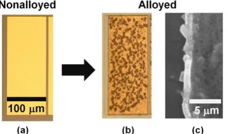 Fig. 2. XRD spectra of the Ti/Al/Ti/Au contacts for (a) the nonalloyed sample and (b) the alloyed sample