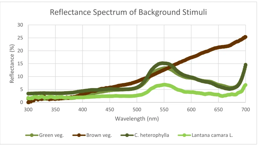 Figure 2.6: The reflectance spectra of the background stimuli which I used for the computational model for spectral sensitivity