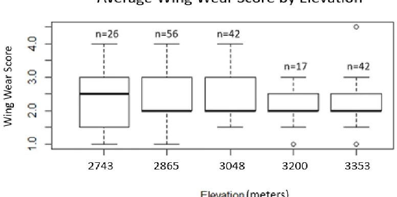 Figure 3.2: A box plot of the average wing wear scores assigned to male versus female butterflies