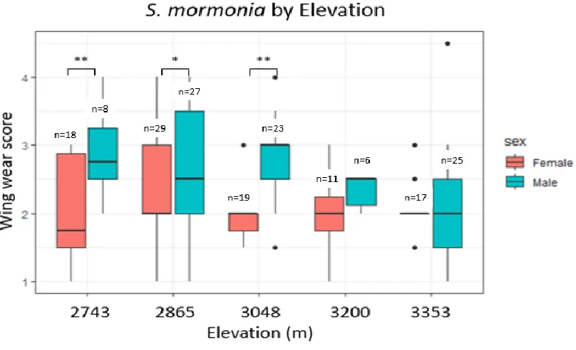Figure 3.3: A box plot of average wing wear scores for male and female S. mormonia as a function of elevation