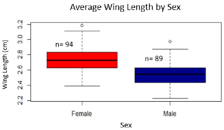 Figure 3.4: A box plot of the average wing length in cm of female versus male S. mormonia
