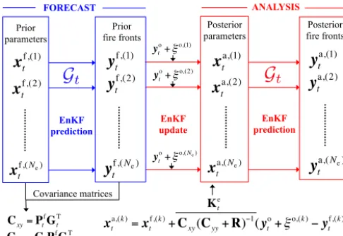 Figure 4. Flowchart of the EnKF algorithm during the [similation cycle for a parameter estimation approach