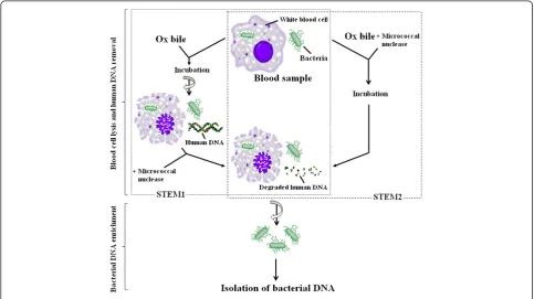Figure 1 The format and principle of the selective target DNA enrichment method.