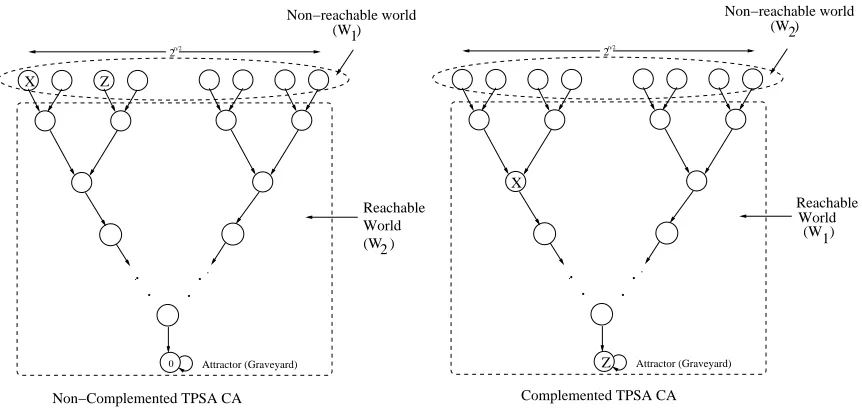 Figure 3. The exchange of the worlds in a complemented TPSA CA
