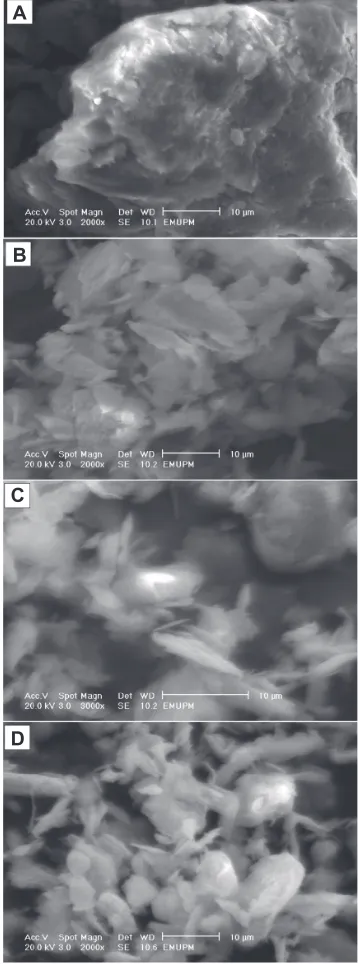 Figure 5 Scanning electron microscopy micrographs of the talc (A) and silver-talc nanocomposites at different AgNO3 concentrations [(A2) 1.0% (B), (A4) 2.0% (C), and (A5) 5.0% (D)].