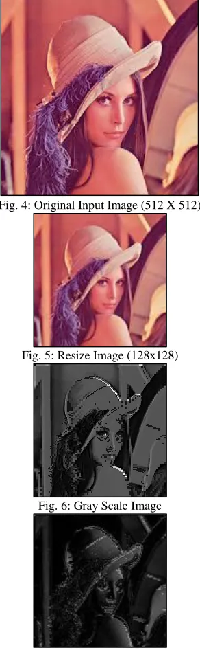 Fig. 6: Gray Scale Image 