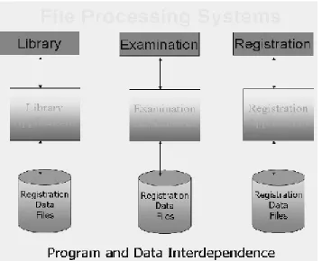 Fig. 1: A typical file processing environment  