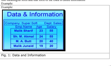 Fig. 1: Data and Information 