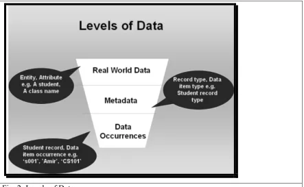Fig. 2: Levels of Data 