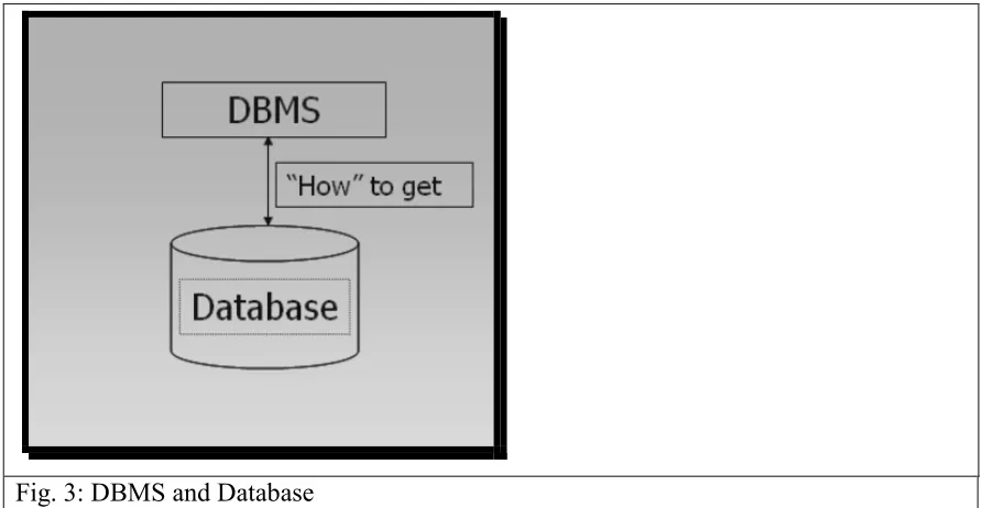 Fig. 3: DBMS and Database 