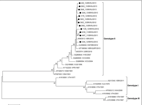 Fig. 5 Phylogenetic analysis based on C/prM/M genes from representative DENV-4 (n = 12) strains isolated from 2011 to 2013, Rio de Janeiro,Brazil