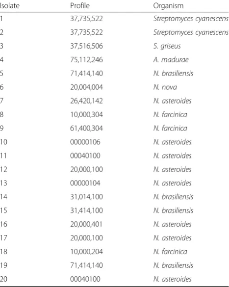 Table 1 Profiles of different Nocardia species and other aerobicActinomycetes identified using the biomèrieux ID 32 C YeastIdentification system in this study