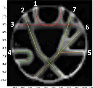 Figure 1: Reference images.