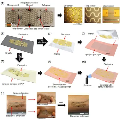 Figure 1. Transfer printing of the electronics onto the skin facilitated by a sprayed glue layer