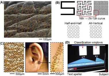 Figure 2.  Skin-like electronics for a persistent BCI. (A) Colorized scanning electron microscope image that shows conformal contact of the electronics (gold) on the skin replica [27]
