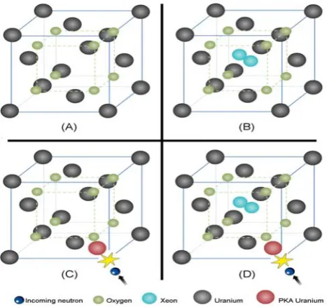 Figure 1. Script picture of four different systems that were (blue atoms) in the UOinvestigated: (A) pure UO2 lattice, (B)  Xenon fission gas atoms 2 lattice, (C) radiation process within the UO2 lattice, such that the incoming neutron interacts with the l