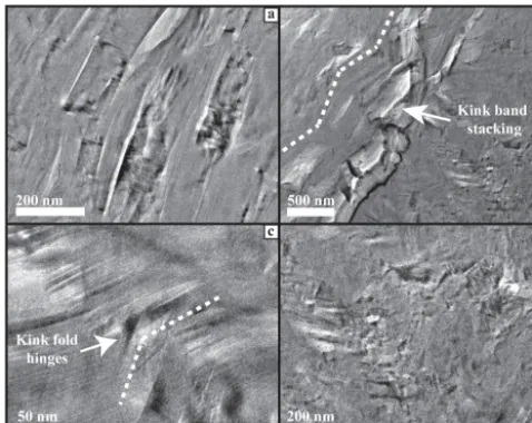 Figure 5. TEM images showing microstructural characteristics ofdifferent orientation;hinges;the slip-localized shear surface: (a) aligned grains showing slightly (b) kink band stacking; (c) dilated kink fold (d) fragmented grains.