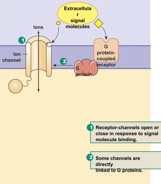 Figure 6-13, steps 1–2