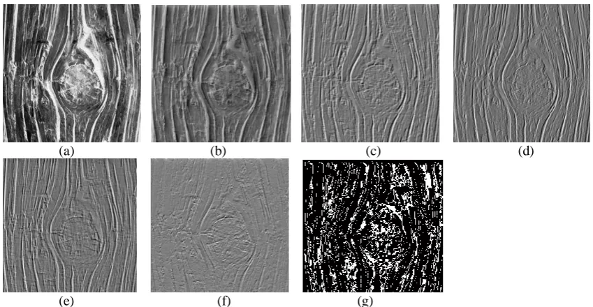 Fig. 5 (a) Original Image – Brodatz D41 (b) Enhancement Filter (c) First Sub Image (d) Second Sub Image (e) Third Sub Image (f) Fourth Sub Image (g) Segmented Image