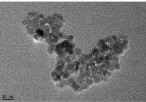 Figure 1 TeM Image of magnetic nanoparticles of Fe3O4, Bar = 20 nm (X40000 times).