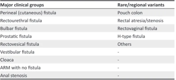 TABLE 1: Krickenbeck classification of ARMs.