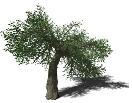 Figure 1. Tree Quercus Suber modelled using Xfrog. 20.281 leaves.