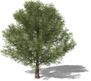 Figure 9. Example of variable resolution according to the implementedcriterion. Some parts of the tree is more detailed than others.