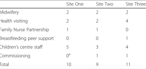Table 2 Numbers and types of professionals interviewed