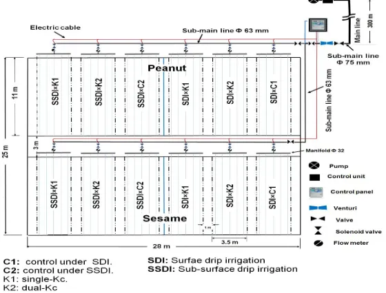 Table 4. Standard values of Lengths, the basal (Kcb) and single (Kc) crop coefficients, crop height (h), and root depth (Zr) for the17