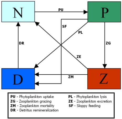 Fig. 1. OSSE strategy and assimilated data generator. The GCMphysical variability spans in the twin numerical experiments thesame period from 29 December to 7 March using u and v wind ve-locity components and total cloud coverage, and turning the winterconditions of the phytoplankton into summer initial values.