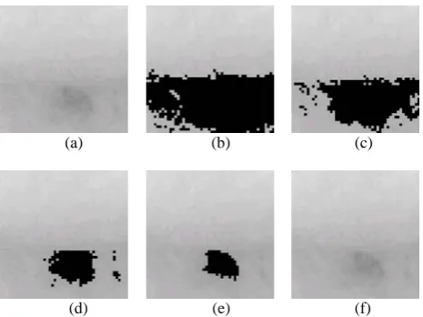 Figure 7. Segmentation, (a) original image, (b) d=1 p=1,  (c) d=2 p=2, (d) d=2 p=3, (e) d=3 p=5, (f) d=3 p=12