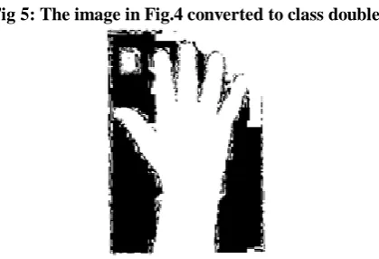 Fig. 3: The Original Input Image 