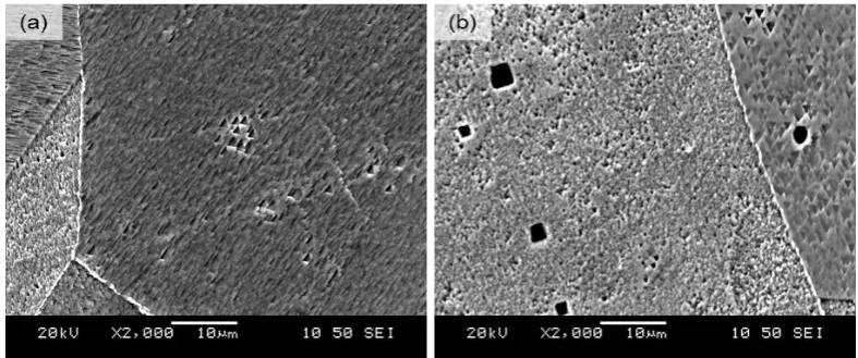 Figure 2. SEM micrographs show annealed alloy I with, (a) triangle shaped etch pits large and small