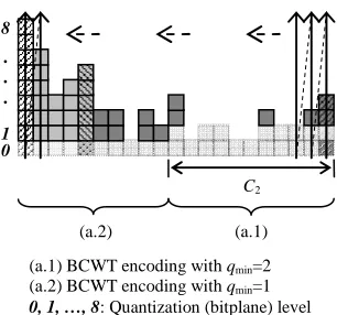 Figure 4.  An example of coding histogram 